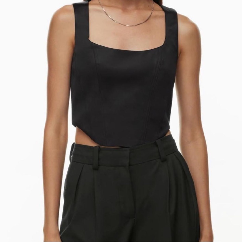 Aritzia Sunday Best Shiloh Bustier satin top